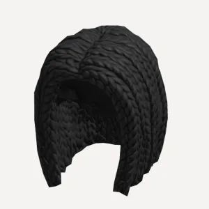 Braided Hair - Black, a Roblox hairstyle