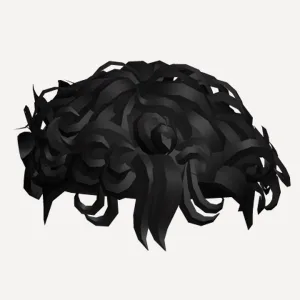 curly hair, a Roblox hairstyle
