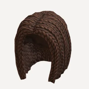 Braided Hair - Cool Brown, a Roblox hairstyle
